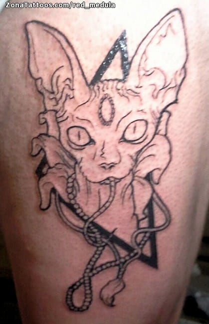 Tattoo photo Cats, Sphynx, Animals