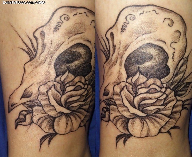 Tattoo photo Skulls, Flowers, Roses