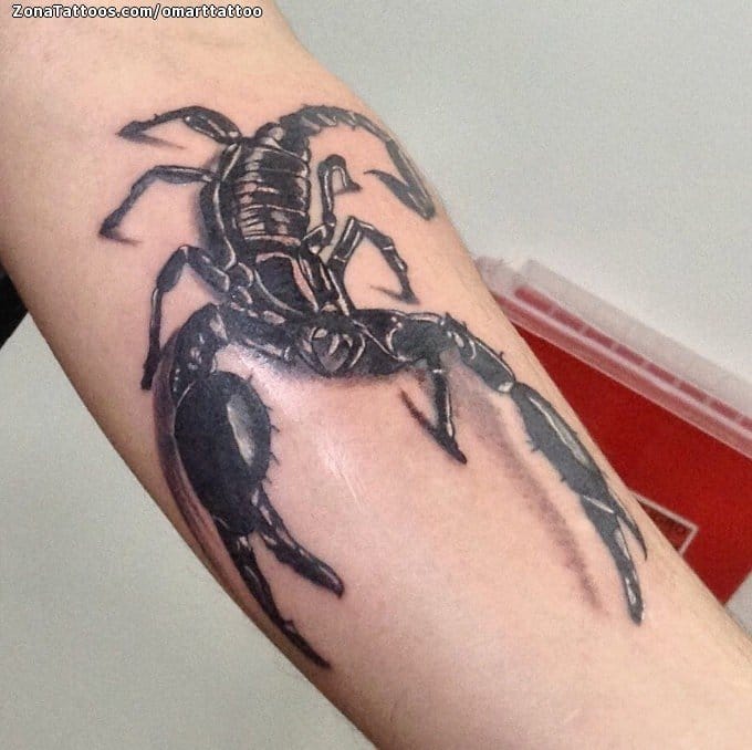 Foto de tatuaje Insectos, Escorpiones