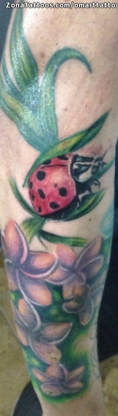 Foto de tatuaje Insectos, Mariquitas, Plantas