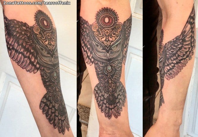 Foto de tatuaje Búhos, Aves, Animales