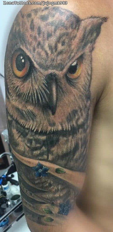 Foto de tatuaje Búhos, Aves, Animales