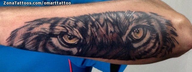 Foto de tatuaje Tigres, Animales, Antebrazo