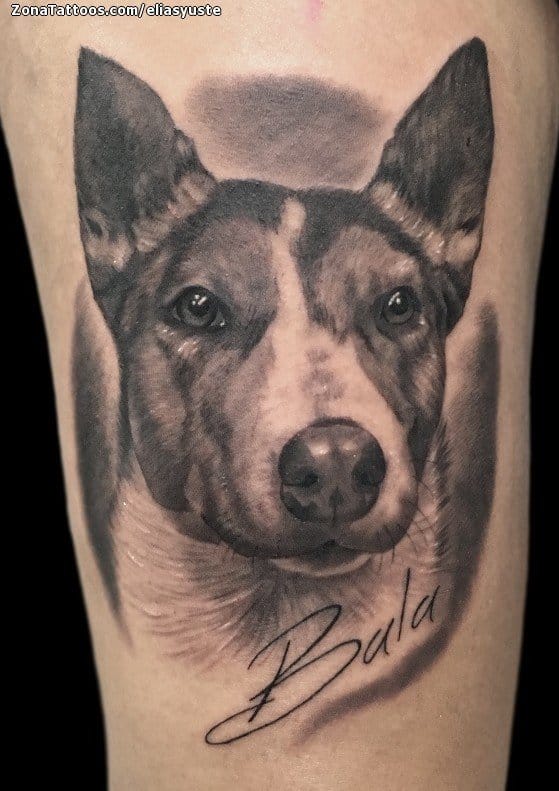 Tattoo photo Dogs, Animals