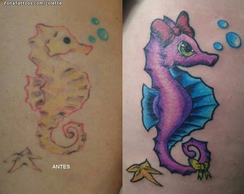 Tattoo of Seahorses, Animals