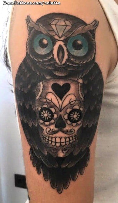 Tattoo photo Owls, Birds, Sugar Skull