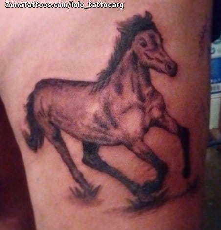 Foto de tatuaje Caballos, Animales