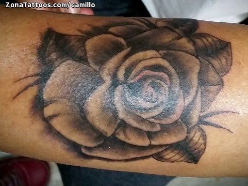 Foto de tatuaje Rosas, Flores