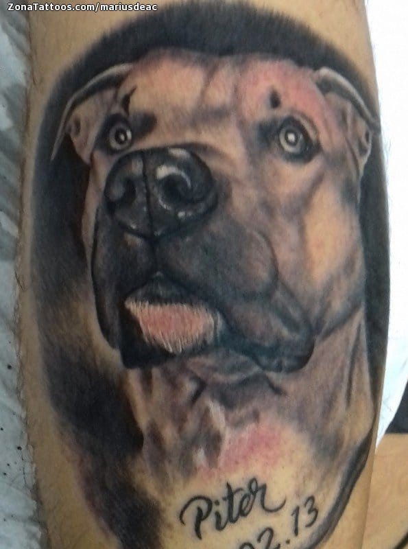 Foto de tatuaje Perros, Animales