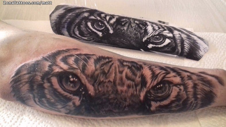 Tattoo photo Tigers, Animals, Forearm