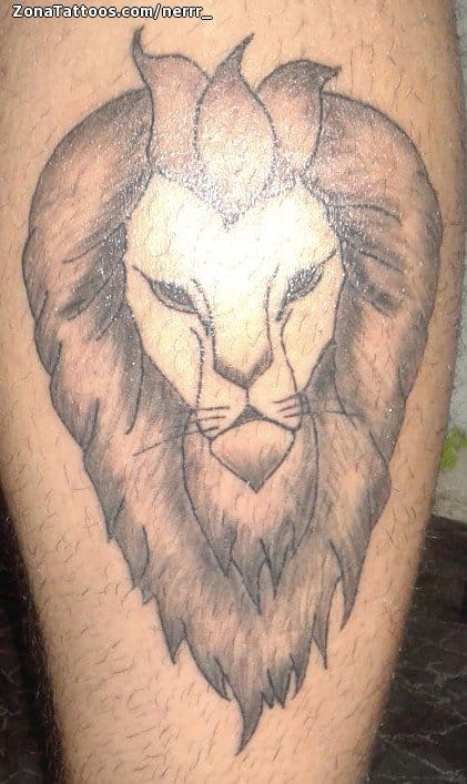 Foto de tatuaje Leones, Animales