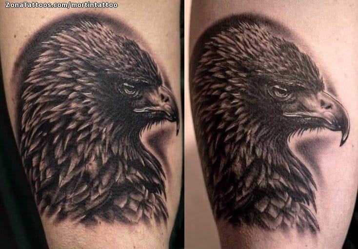 Foto de tatuaje Águilas, Aves, Animales