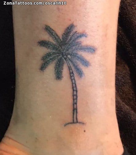 Tattoo photo Palm trees, Trees