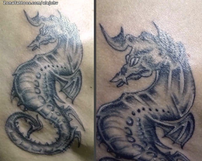 Foto de tatuaje Caballitos de mar, Animales