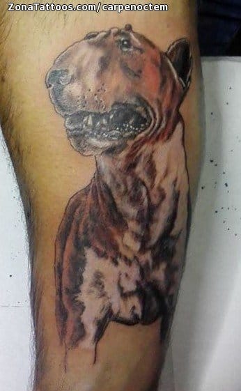 Foto de tatuaje Perros, Animales