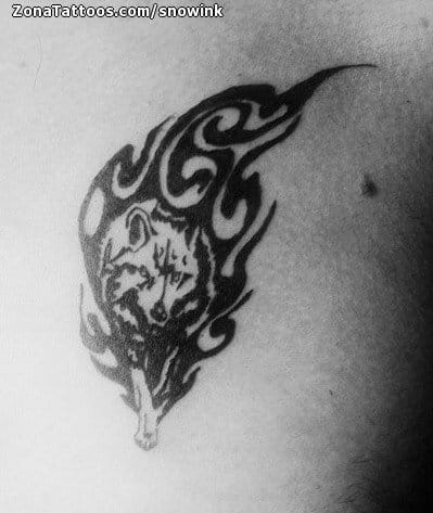 Tattoo of Wolfs, Tribal, Animals