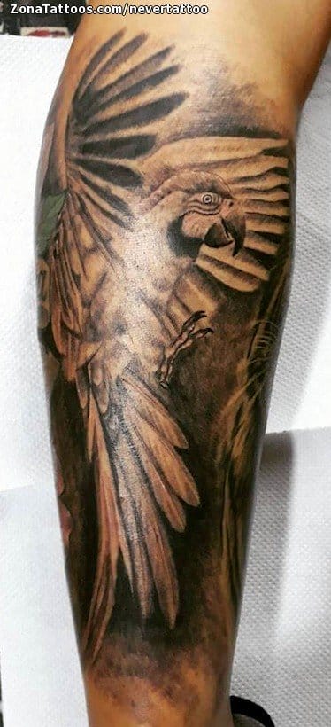 Foto de tatuaje Loros, Aves, Animales