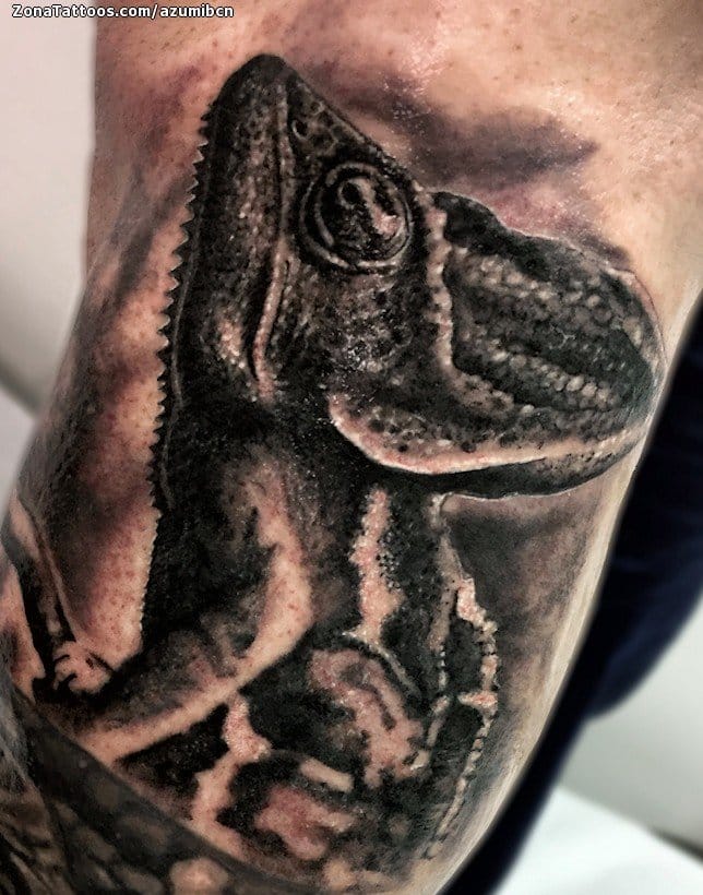 Foto de tatuaje Camaleones, Animales