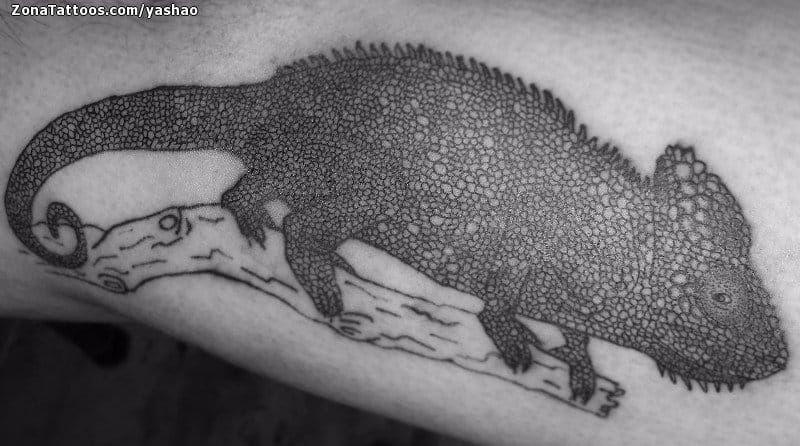 Foto de tatuaje Camaleones, Animales