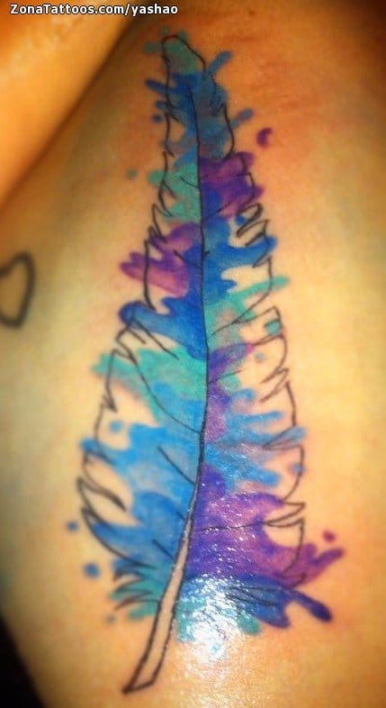 Tattoo photo Feathers, Watercolor