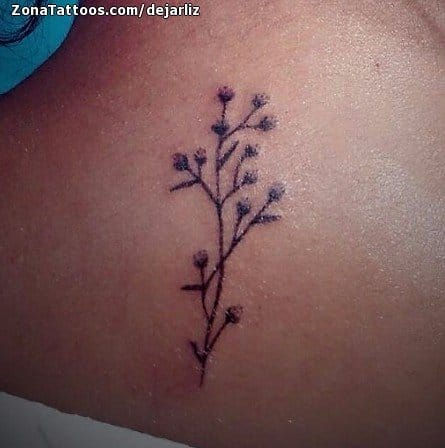 Foto de tatuaje Plantas, Espalda, Pequeños