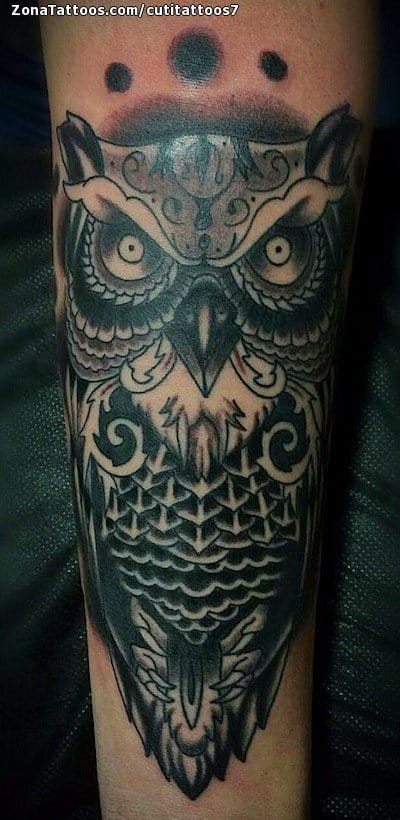 Foto de tatuaje Búhos, Aves, Animales