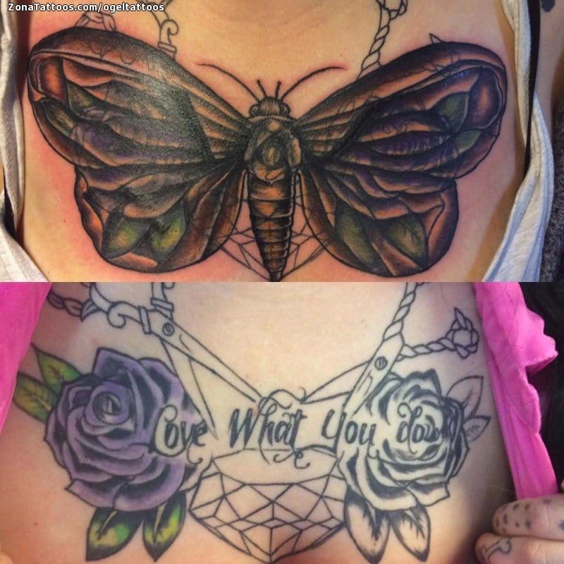 Tattoo photo Cover Up, Moths, Insects