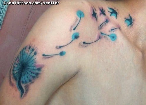 Tattoo photo Dandelions, Shoulder