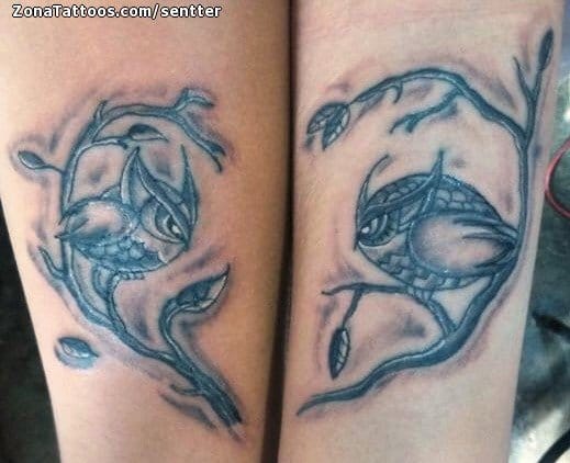 Foto de tatuaje Búhos, Aves, Animales