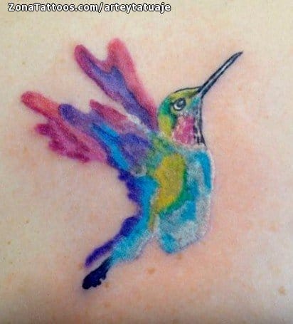 Foto de tatuaje Colibríes, Acuarela, Pequeños