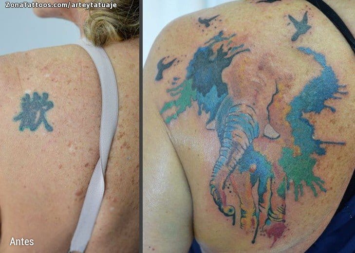 Tattoo photo Cover Up, Shoulder blade, Elephants