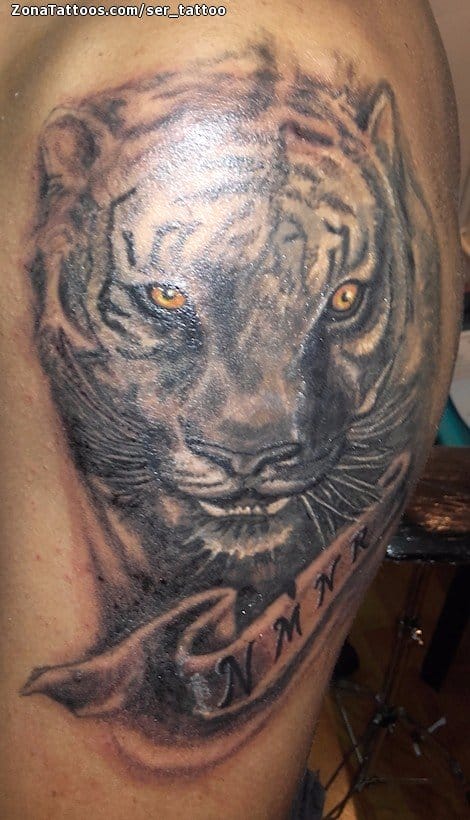 Tattoo photo Tigers, Animals