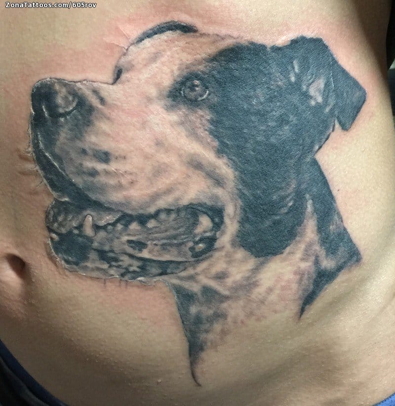 Foto de tatuaje Perros, Animales, Barriga