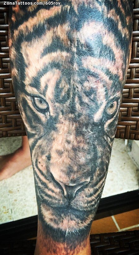 Foto de tatuaje Tigres, Animales, Pierna