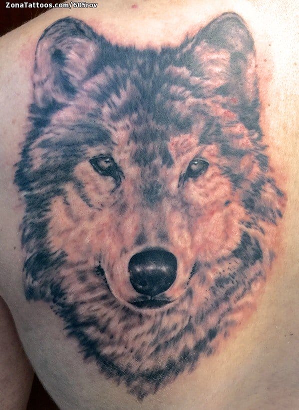 Foto de tatuaje Lobos, Animales, Omóplato