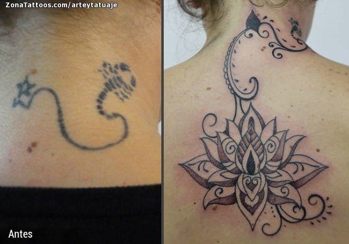 Tattoo photo Lotus, Back, Cover Up