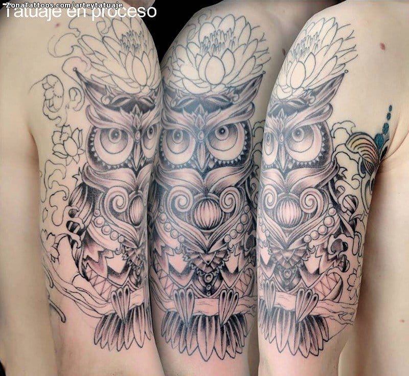 Foto de tatuaje Búhos, Aves, Animales