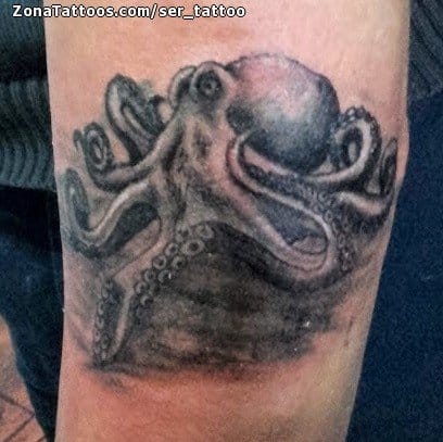 Tattoo photo Octopuses, Animals