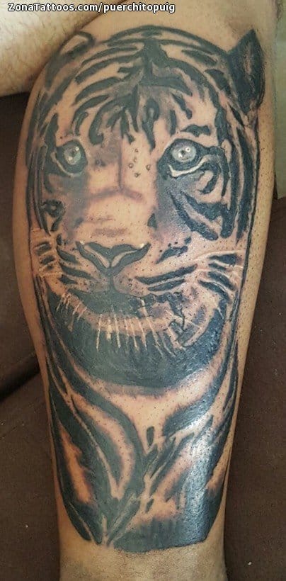 Foto de tatuaje Tigres, Animales, Pierna