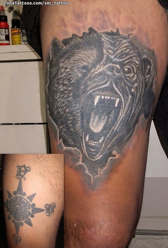 Foto de tatuaje Cover Up, Osos, Animales