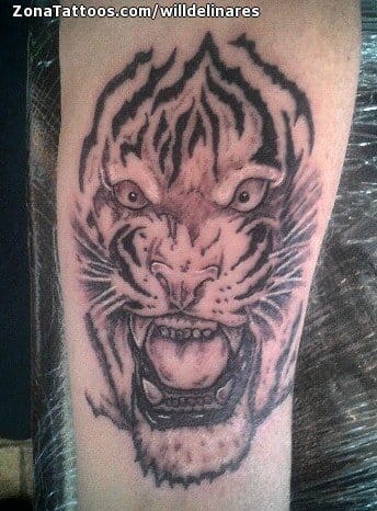 Tattoo photo Tigers, Animals