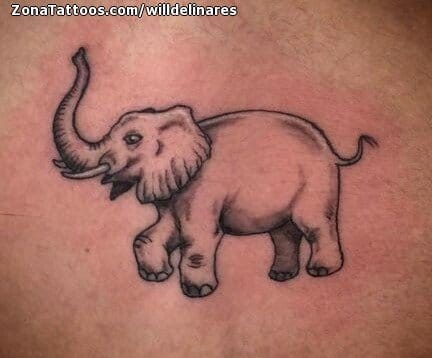 Tattoo photo Elephants, Animals