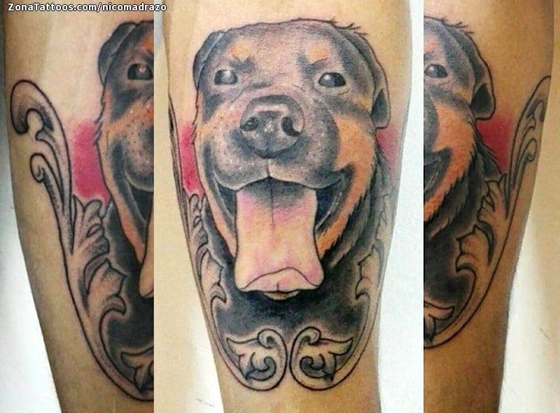 Tattoo photo Dogs, Animals, Ornaments