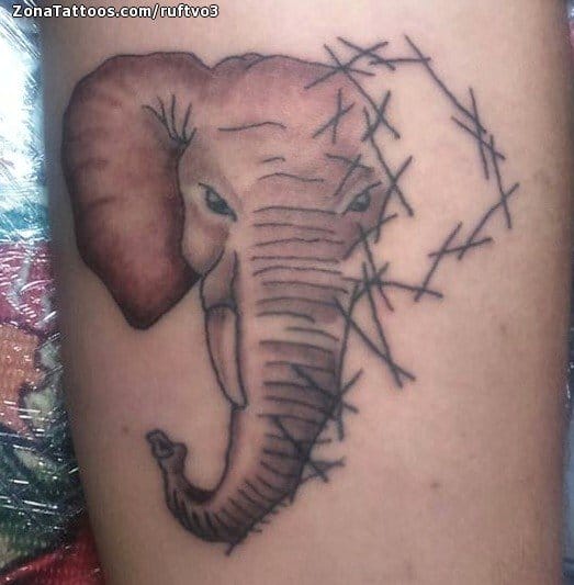 Foto de tatuaje Elefantes, Animales