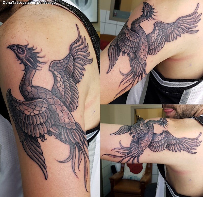 Tattoo photo Phoenix, Shoulder, Fantasy
