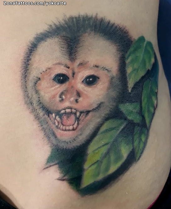 Tattoo photo Monkeys, Animals