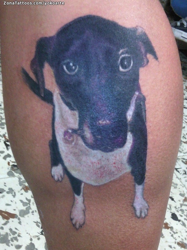 Tattoo photo Dogs, Animals