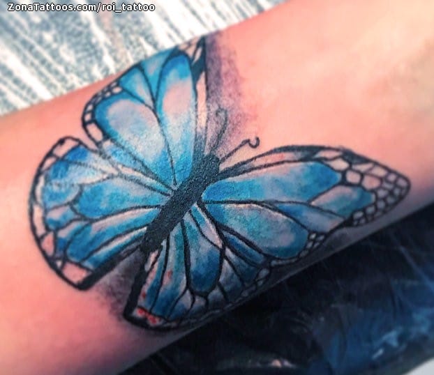 Tattoo photo Butterflies, Insects