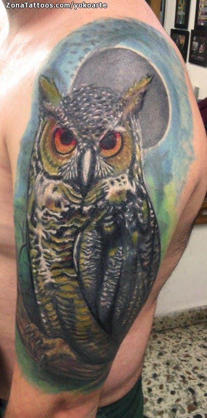 Foto de tatuaje Búhos, Aves, Animales