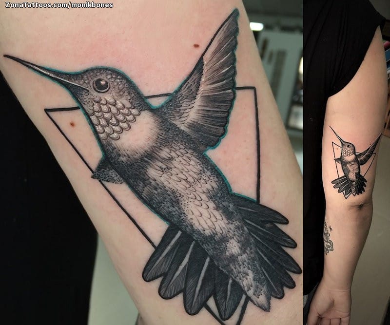 Foto de tatuaje Colibríes, Aves, Animales